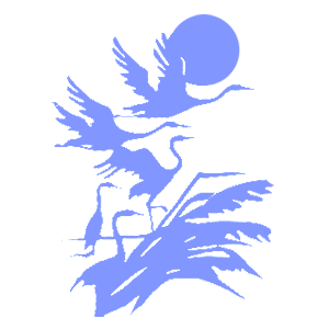       -   216 .