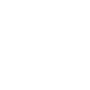   4x4 Extreme adventure team -   264 .