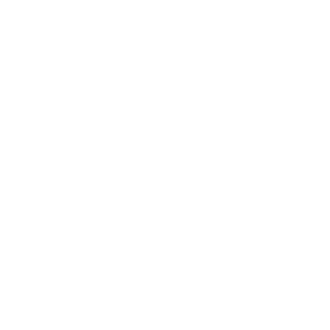    -   133 .