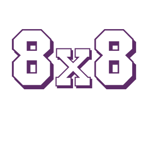  8x8