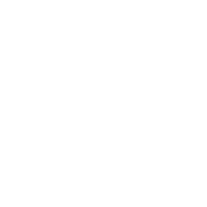         -   133 .
