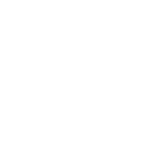      - -   133 .