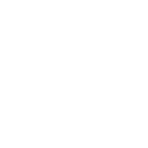        2020 -   98 .