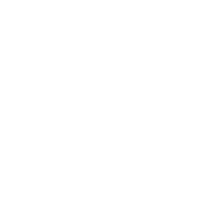       -   161 .