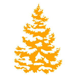 ����������� �� ����������� ��������� �������� ����� - ������ �� 147 ���.