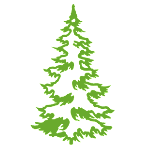 ����������� �� ����������� ������-������� �������� ������� ���� - ������ �� 143 ���.