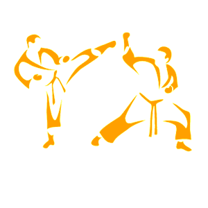 Развернутая по горизонтали Оранжевая наклейка «Taekwondo» - купить от 135 руб.
