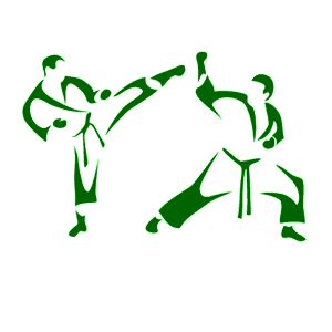 ����������� �� ����������� ������� �������� �Taekwondo� - ������ �� 135 ���.