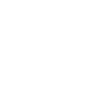        -   161 .