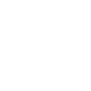      04 RUS ( ) -   187 .