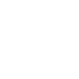      12 RUS (  ) -   181 .