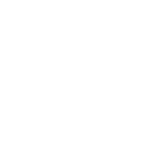      16 RUS ( ) -   147 .