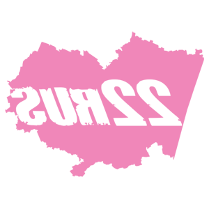      22 RUS ( ) -   167 .