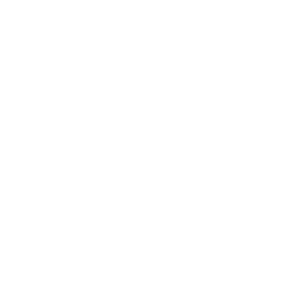      22 RUS ( ) -   167 .