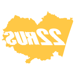      22 RUS ( ) -   167 .