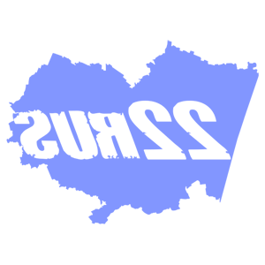      22 RUS ( ) -   167 .