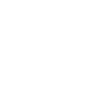      25 RUS ( ) -   143 .