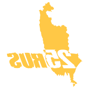      25 RUS ( ) -   143 .