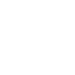      26 RUS ( ) -   147 .