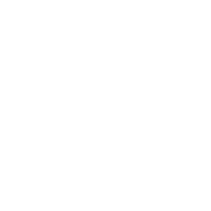   27 RUS ( ) -   147 .