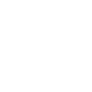      27 RUS ( ) -   147 .