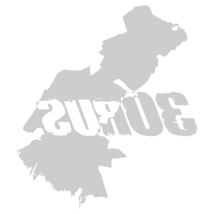    -  30 RUS ( ) -   192 .