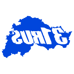      31 RUS ( ) -   135 .
