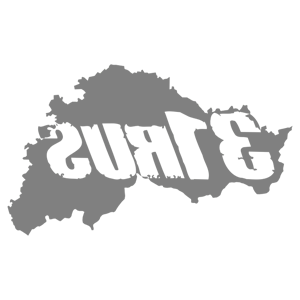      31 RUS ( ) -   135 .