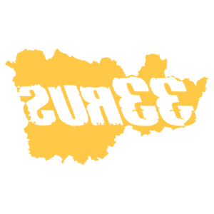      33 RUS ( ) -   135 .