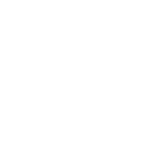      37 RUS ( ) -   147 .