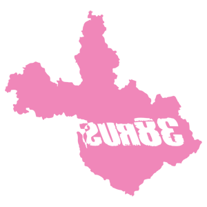      38 RUS ( ) -   187 .