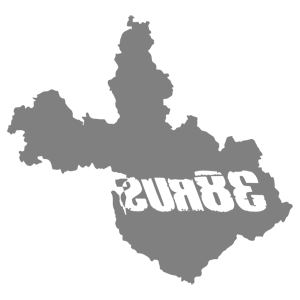      38 RUS ( ) -   187 .