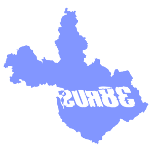      38 RUS ( ) -   187 .