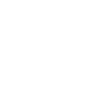   47 RUS ( ) -   147 .