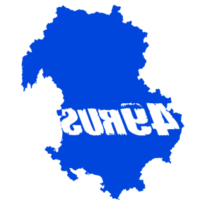      49 RUS ( ) -   181 .