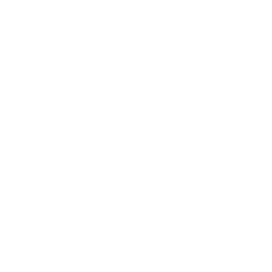      49 RUS ( ) -   181 .