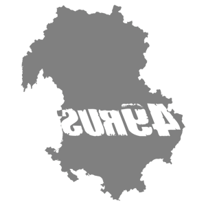      49 RUS ( ) -   181 .
