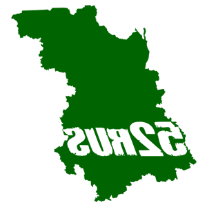      52 RUS ( ) -   187 .