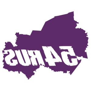 ����������� �� ����������� ���������� �������� �54 RUS (������������� �������)� - ������ �� 170 ���.