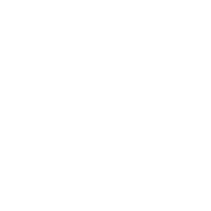   96 RUS ( ) -   181 .