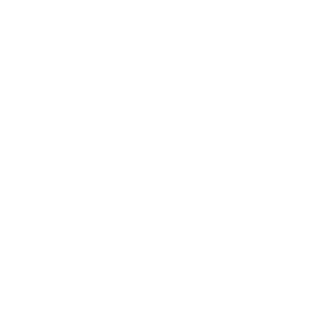   196 RUS ( ) -   181 .