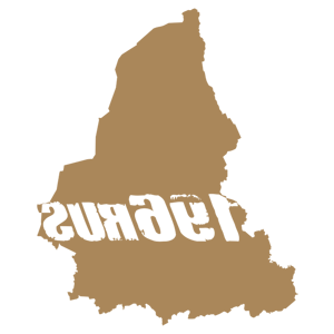 ����������� �� ����������� ������-���������� �������� �196 RUS (������������ �������)� - ������ �� 181 ���.