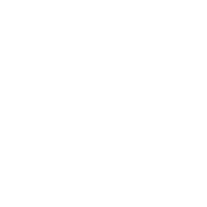        -   161 .