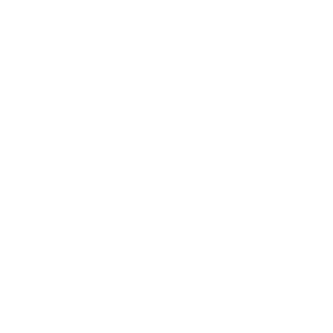      63 RUS ( ) -   181 .