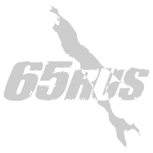 -  65 RUS ( ) -   187 .