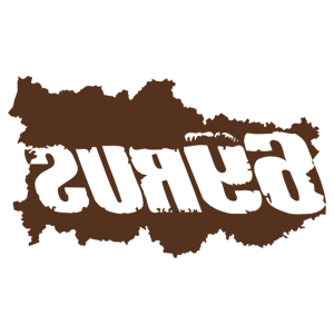      69 RUS ( ) -   135 .