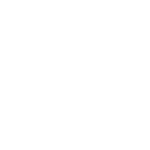     -   161 .
