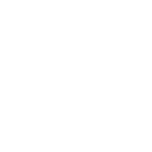        -   161 .