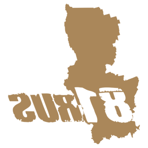    -  81 RUS ( ) -   187 .