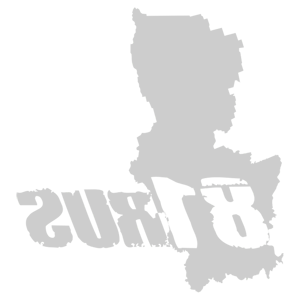    -  81 RUS ( ) -   187 .